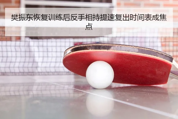 樊振东恢复训练后反手相持提速复出时间表成焦点